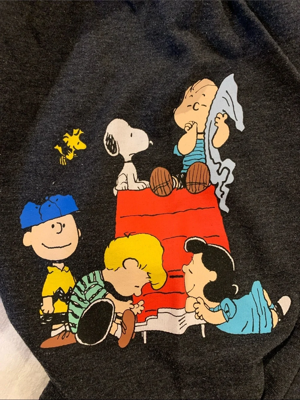 Peanuts charcoal joggers